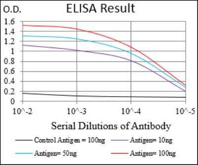 ELISA: RSK3 Antibody (3C4C8) - BSA Free [NBP2-52555]