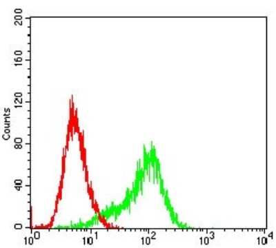 Flow Cytometry: RSK3 Antibody (3C4C8) - BSA Free [NBP2-52555]