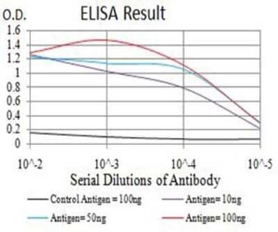 ELISA: RUNX1/CBFA2 Antibody (6C12A5) - BSA Free [NBP2-61861]