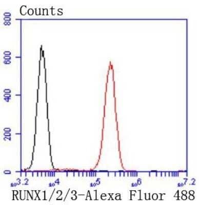 Flow Cytometry: RUNX1/CBFA2 Antibody (SD0803) [NBP2-67779]