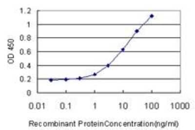 ELISA: RUNX2/CBFA1 Antibody (3F5) [H00000860-M06]