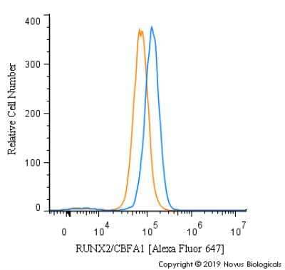 Flow Cytometry: RUNX2/CBFA1 Antibody - BSA Free [NBP1-77462]
