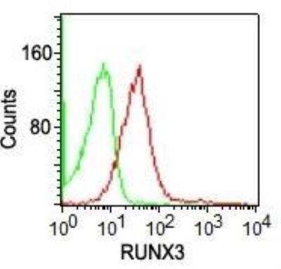 Flow Cytometry: RUNX3/CBFA3 Antibody (2B10E8) - BSA Free [NBP2-22391]