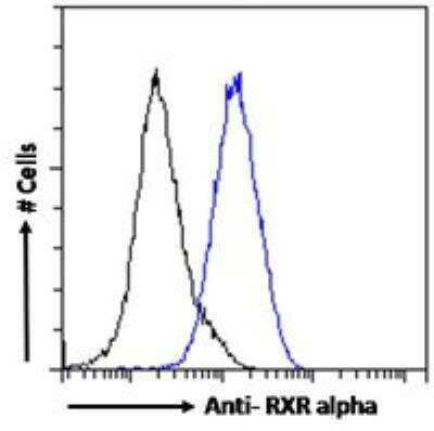 Flow Cytometry: RXR alpha/NR2B1 Antibody [NB100-1466]