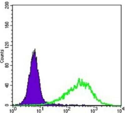 Flow Cytometry: Rab25 Antibody (3F12) - BSA Free [NBP1-51599]
