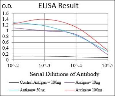 ELISA: Rab27a Antibody (4D3F11) - BSA Free [NBP2-37241]