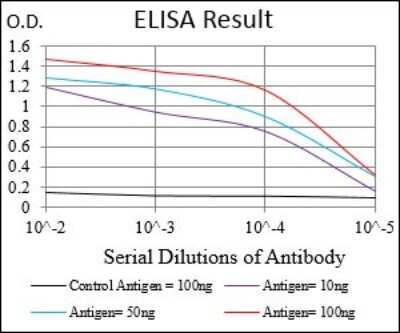 ELISA: Rab27a Antibody (7D7C9) - BSA Free [NBP2-37248]