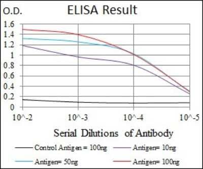 ELISA: Rab4 Antibody (4E11) - BSA Free [NBP2-37485]