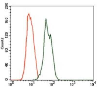 Flow Cytometry: Rab4 Antibody (4E11) - BSA Free [NBP2-37485]