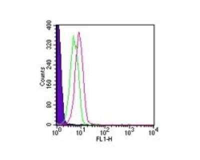 Flow Cytometry: Rabbit IgG Isotype Control [Alexa Fluor® 488] [NBP2-24982]