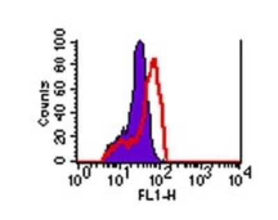 Flow Cytometry: Rabbit IgG Isotype Control [FITC] [NBP2-24892]