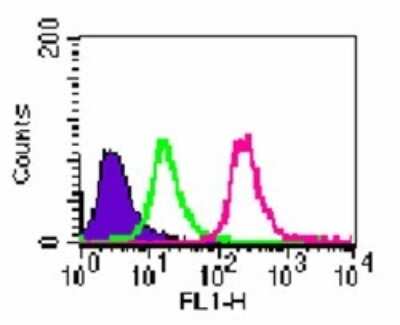 Flow Cytometry: Rabbit IgG Isotype Control [NBP2-24893]