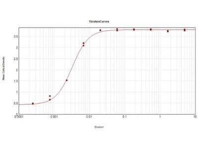 ELISA: Rabbit anti-Equine IgG (H+L) Secondary Antibody [NB120-6700]