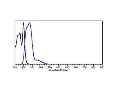 Fluorophore-linked immunosorbent assay: Rabbit anti-Goat IgG (H+L) Secondary Antibody [NBP1-72707]
