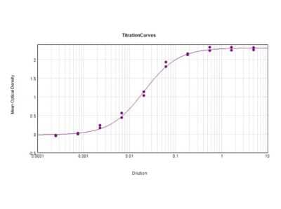 ELISA: Rabbit anti-Golden Syrian Hamster IgG (H+L) Secondary Antibody [NBP1-72726]