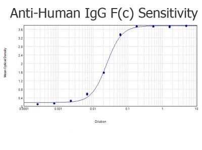 ELISA: Rabbit anti-Human IgG Fc Secondary Antibody [NBP2-60675]