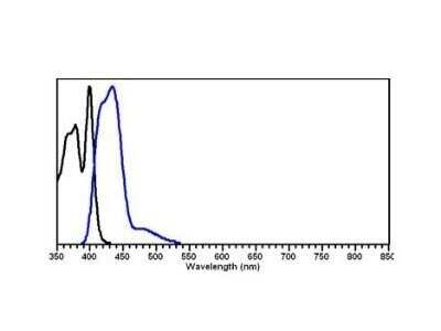 Fluorophore-linked immunosorbent assay: Rabbit anti-Rat IgG (H+L) Secondary Antibody (Pre-adsorbed) [NBP1-72733]