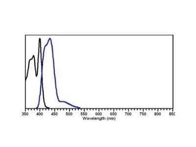 Fluorophore-linked immunosorbent assay: Rabbit anti-Sheep IgG (H+L) Secondary Antibody [NBP1-72704]
