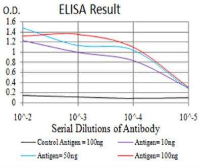ELISA: Rad23 Antibody (1E4D6) - BSA Free [NBP2-52550]