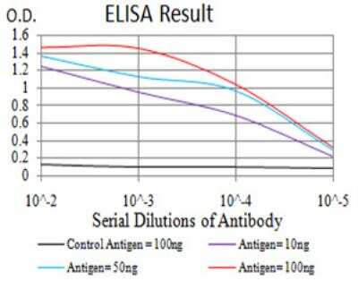 ELISA: Rad23 Antibody (3E3F4) - BSA Free [NBP2-52549]