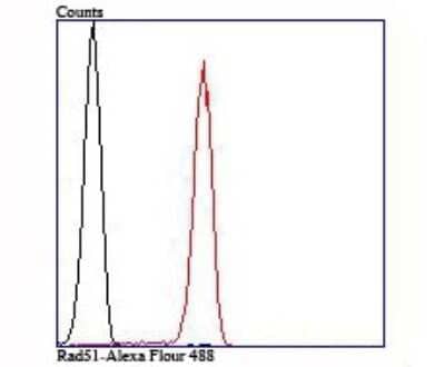 Flow Cytometry: Rad51 Antibody (JM54-26) [NBP2-75640]