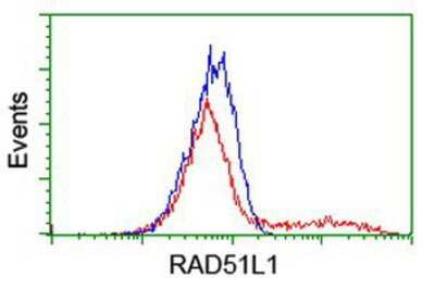 Flow Cytometry: Rad51L1 Antibody (OTI7H4) [NBP2-01220]