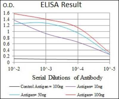 ELISA: Raf-1 Antibody (4G4) - BSA Free [NBP2-37513]