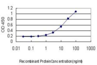 ELISA: RalB Antibody (4D1) [H00005899-M04]