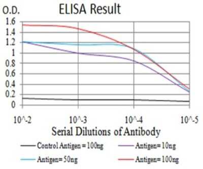 ELISA: RalB Antibody (7F8B4) - BSA Free [NBP2-61831]
