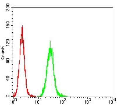 ELISA: RalB Antibody (7F8B4) - BSA Free [NBP2-61831]