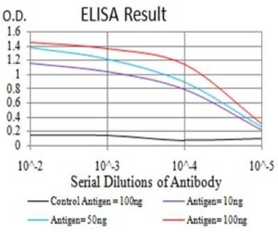 ELISA: RalB Antibody (8A8A9) - BSA Free [NBP2-61826]