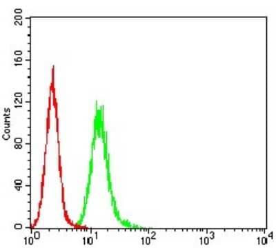 ELISA: RalB Antibody (8A8A9) - BSA Free [NBP2-61826]