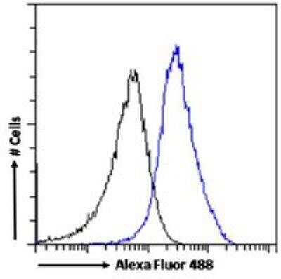 Flow Cytometry: RanBP1 Antibody [NB100-1443]