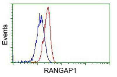 Flow Cytometry: RanGAP1 Antibody (OTI1B4) [NBP2-02623]