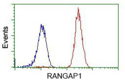 Flow Cytometry: RanGAP1 Antibody (OTI1B4) [NBP2-02623]