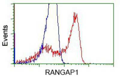 Flow Cytometry: RanGAP1 Antibody (OTI1B4) [NBP2-02623]