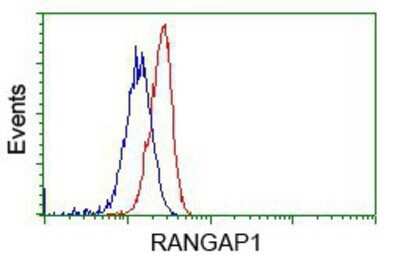 Flow Cytometry: RanGAP1 Antibody (OTI1B4) - Azide and BSA Free [NBP2-73797]