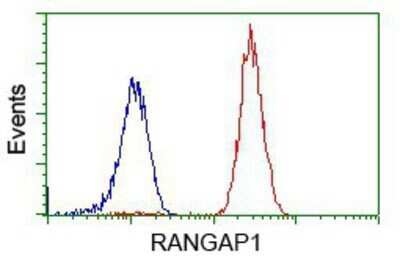 Flow Cytometry: RanGAP1 Antibody (OTI1B4) - Azide and BSA Free [NBP2-73797]