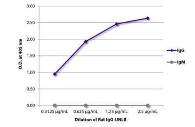 ELISA: Rat IgG Isotype Control [NBP1-71666]