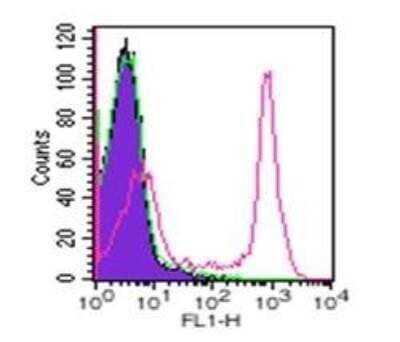 Flow Cytometry: Rat IgG2a Isotype Control (2A3) [NBP2-21947]