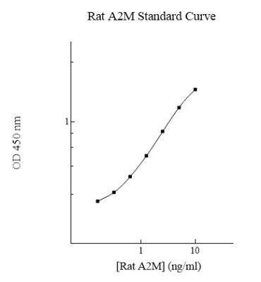 ELISA: Rat alpha 2-Macroglobulin ELISA Kit (Colorimetric) [NBP2-60637]