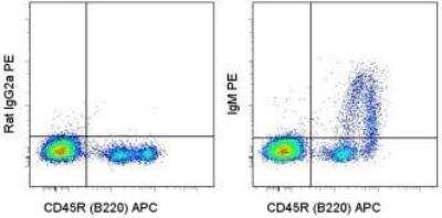 Flow Cytometry: Rat anti-Mouse IgM Heavy Chain Secondary Antibody (eB121-15F9) [NBP1-43282]