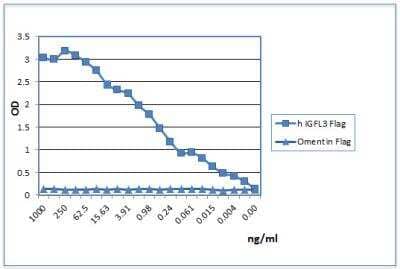 ELISA: Recombinant Human IGFL-3 FLAG Protein [NBP3-18152]