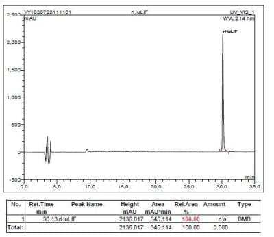 HPLC: Recombinant Human LIF Protein [NBP2-34935]