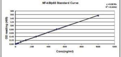 ELISA: Recombinant Human RelA/NFkB p65 Protein [NBP2-24987]