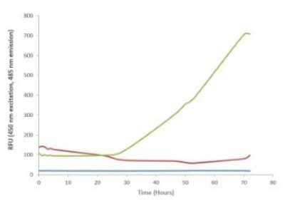 In vitro assay: Recombinant Human SOD1/Cu-Zn SOD Active, Monomer Protein [NBP3-14782]