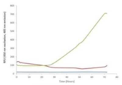 In vitro assay: Recombinant Human SOD1/Cu-Zn SOD Pre-formed Fibrils Protein [NBP3-14783]