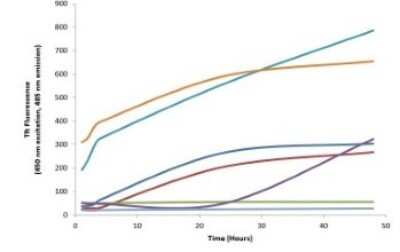 In vitro assay: Recombinant Human Tau 441 Active, Monomer, P301S Mutant Protein [NBP2-76795]