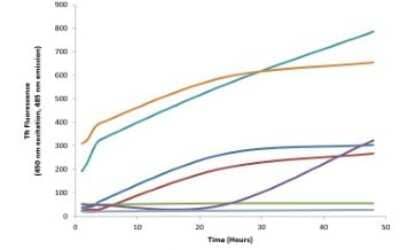 In vitro assay: Recombinant Human Tau 441 Active, P301S Mutant, Pre-formed Fibrils Protein [NBP2-76794]