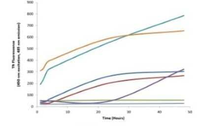 In vitro assay: Recombinant Human Tau Active, (K18), P301L Mutant, Pre-formed Fibrils Protein [NBP2-76793]